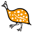 カンガ：オレンジ