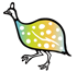 カンガ：その他